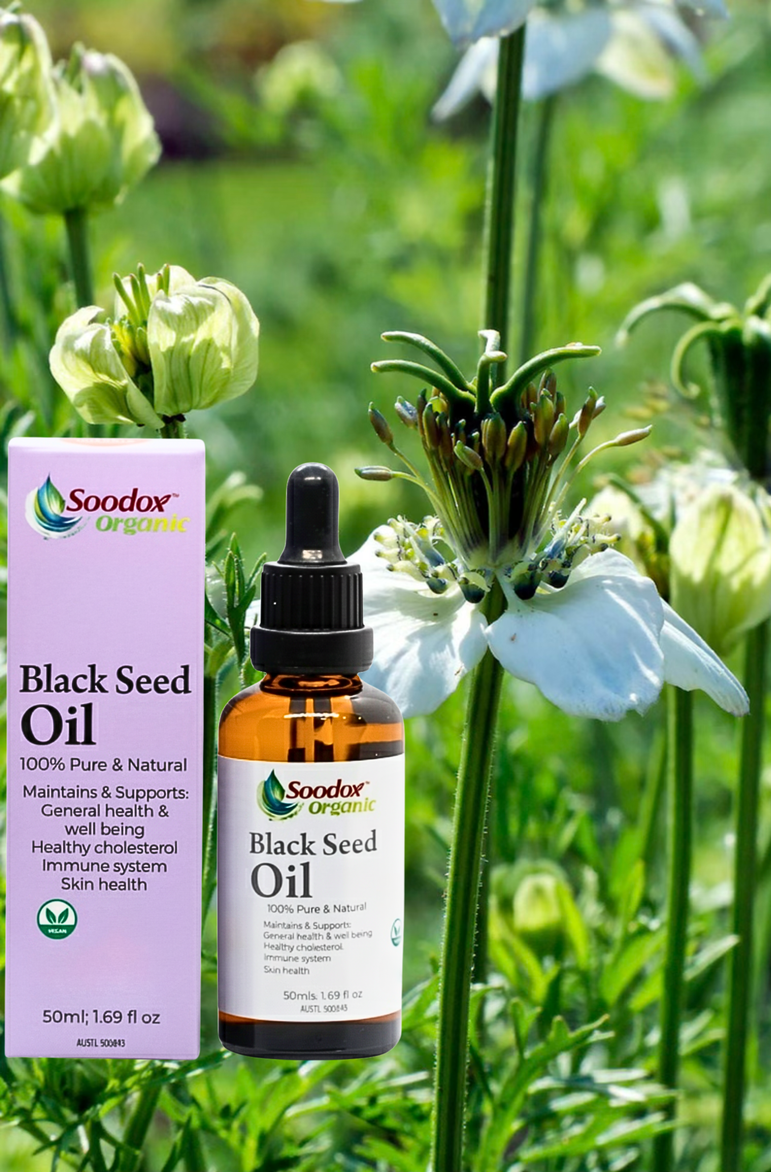 plant black seed oil Soodox Organic Black Seed Oil 50mL