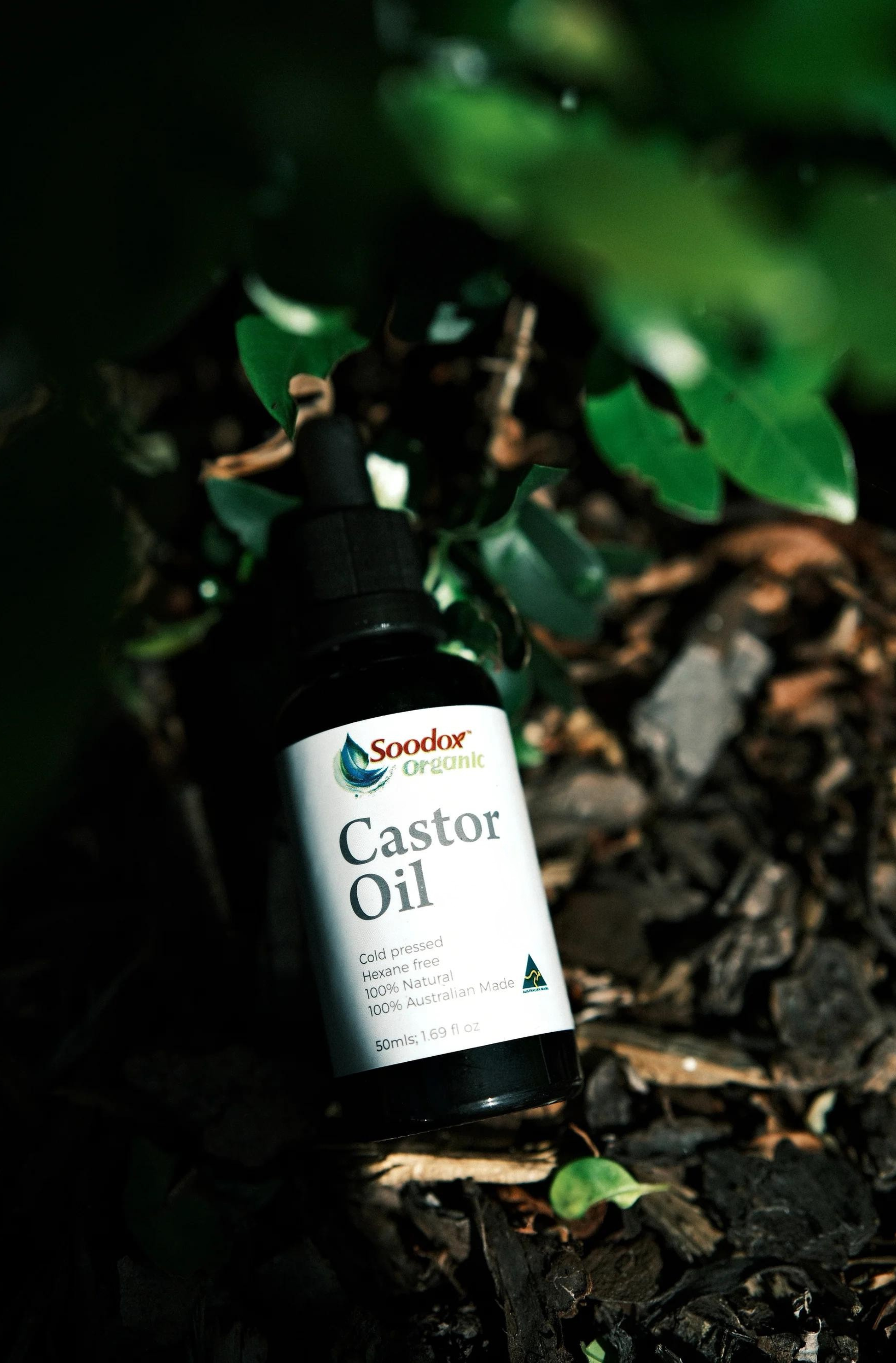 Soodox Organic Castor Oil 50ml with Oil Brushes