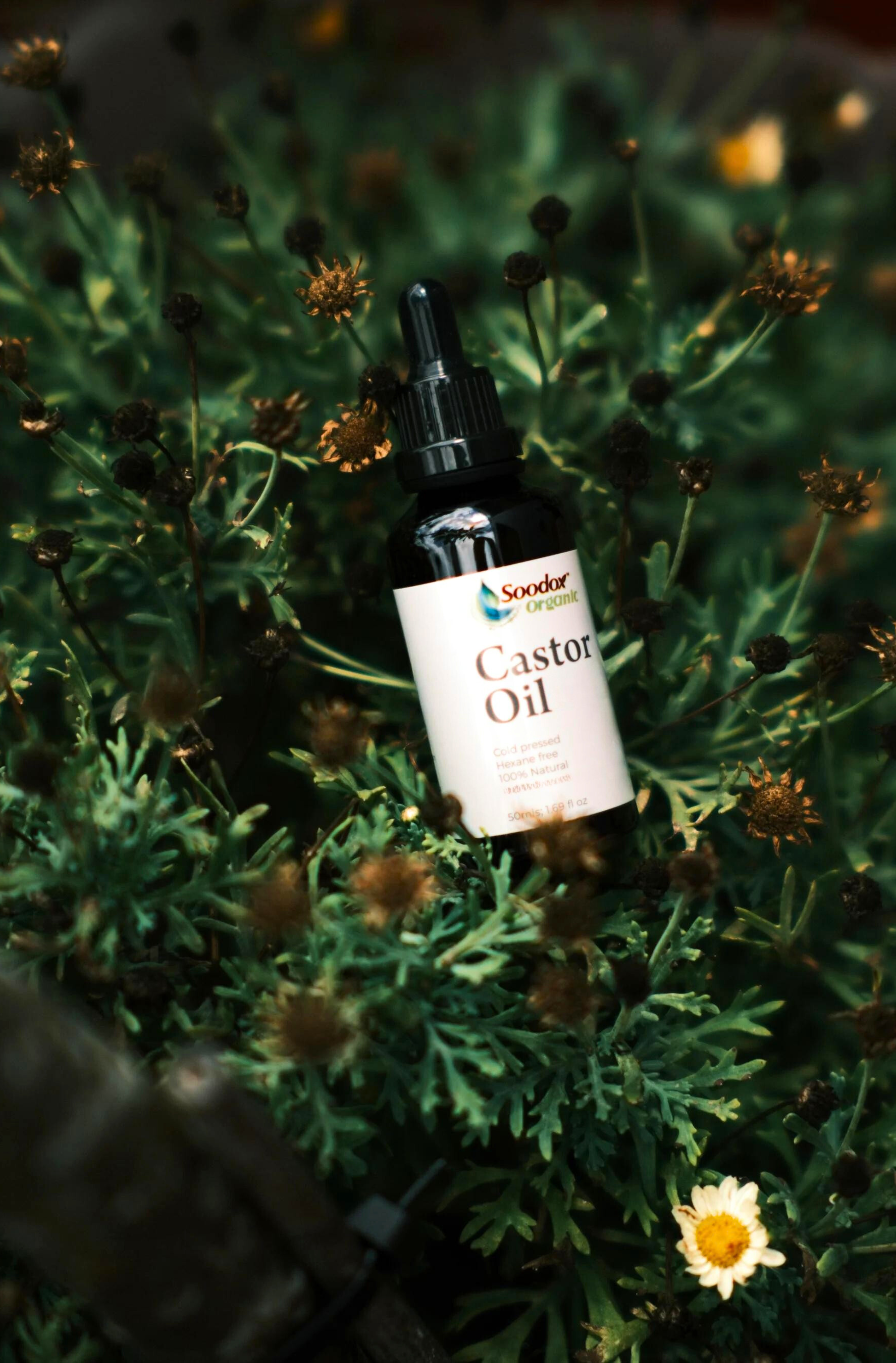 Soodox Organic Castor Oil 50mL with Lash and Brow Brushes