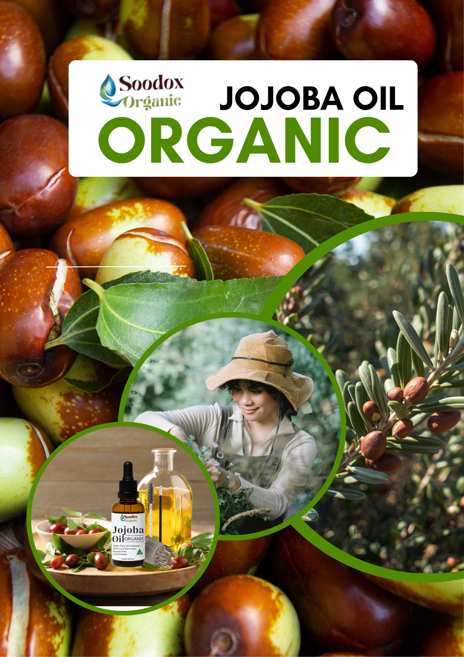 Soodox Organic Jojoba Oil 50ml with Oil Brushes