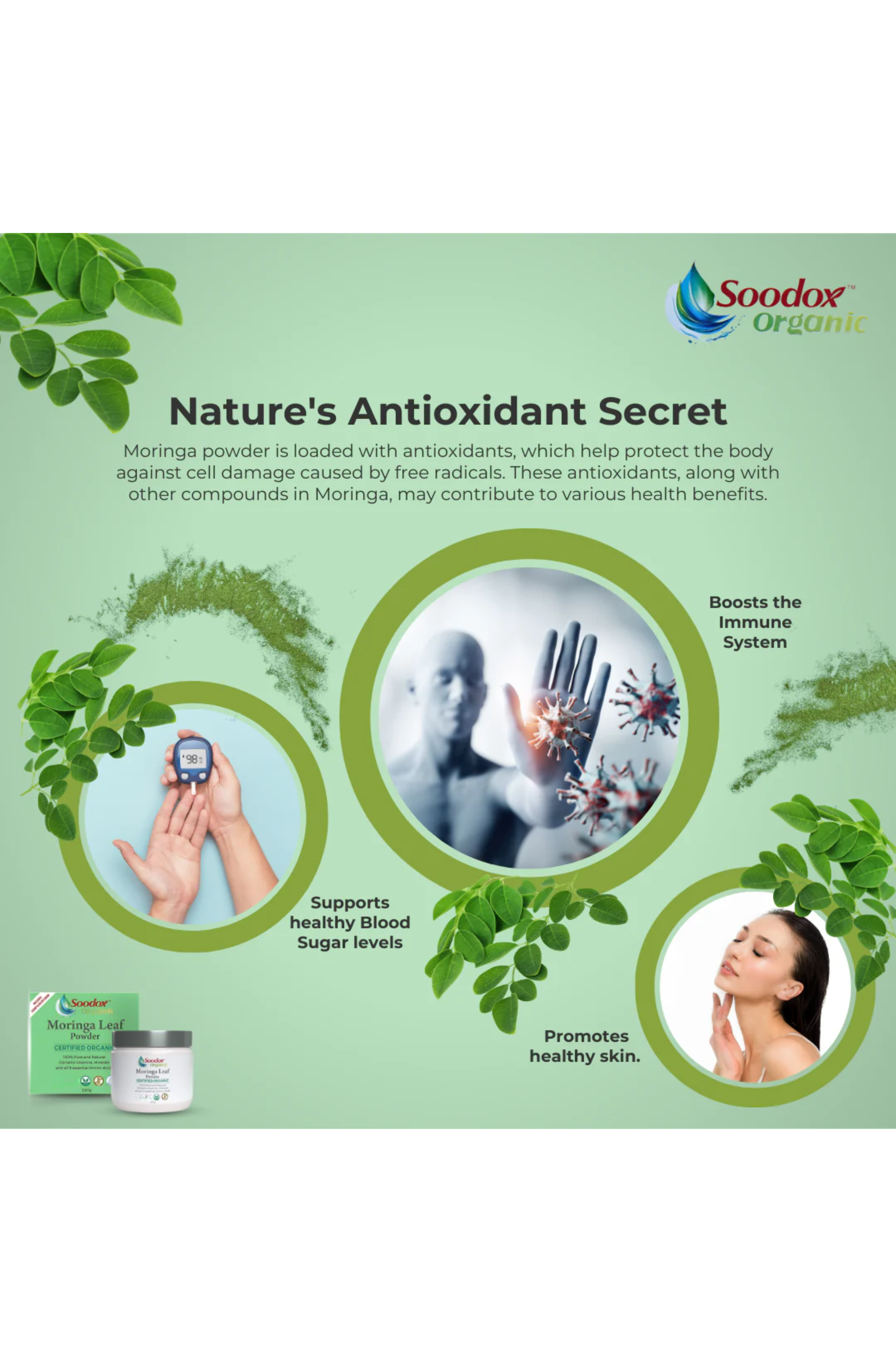 Soodox™ Certified Organic Moringa Leaf Powder 200g (includes wooden scoop)