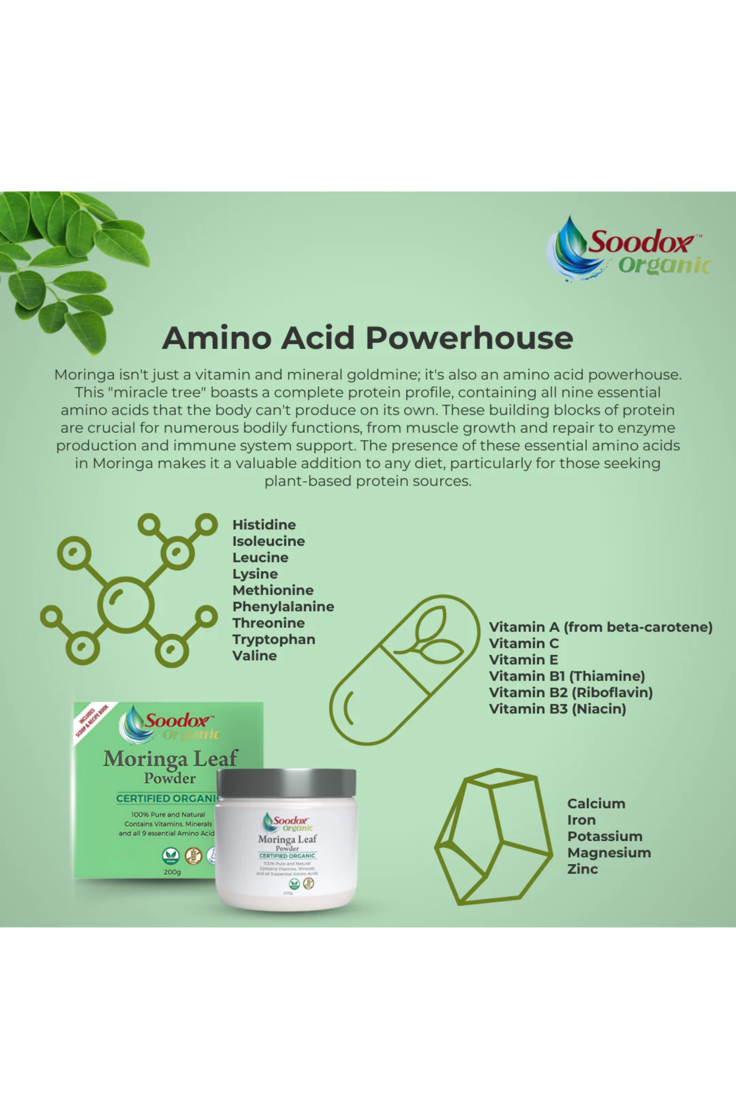 Soodox™ Organic Moringa Leaf Powder