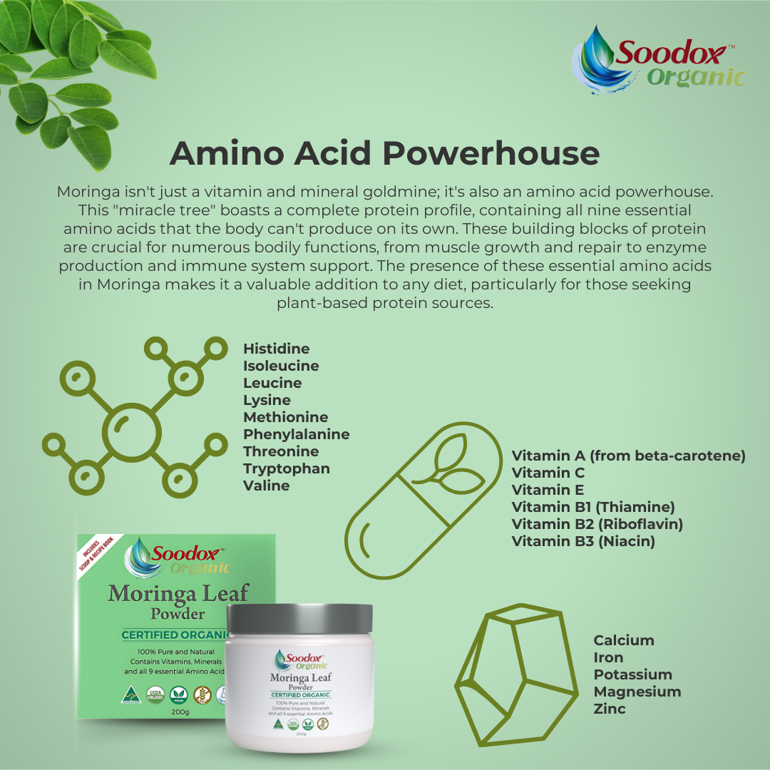 Soodox™ Organic Moringa Leaf Powder