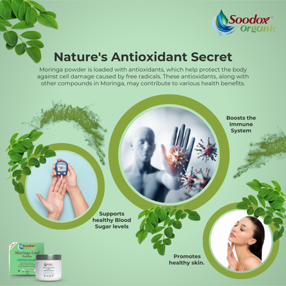 Soodox™ Organic Moringa Leaf Powder