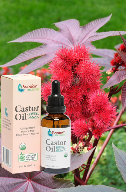 Soodox Organic Castor Oil 50mL with Lash and Brow Brushes