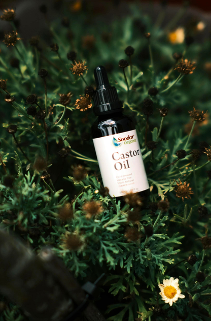 Soodox Organic Castor Oil 50mL with Lash and Brow Brushes