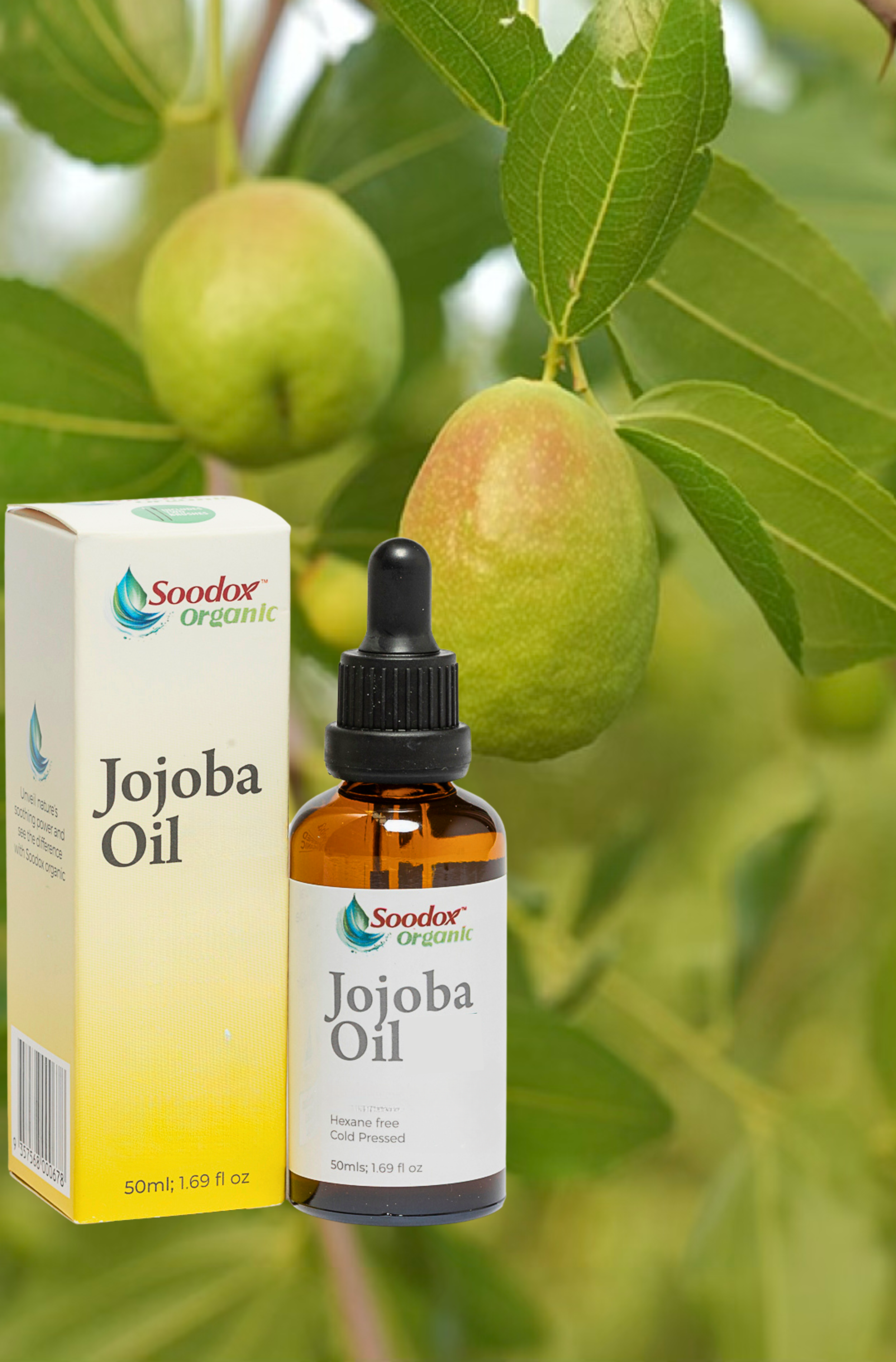 Soodox Organic Jojoba Oil 50mL with Lash and Brow Brushes