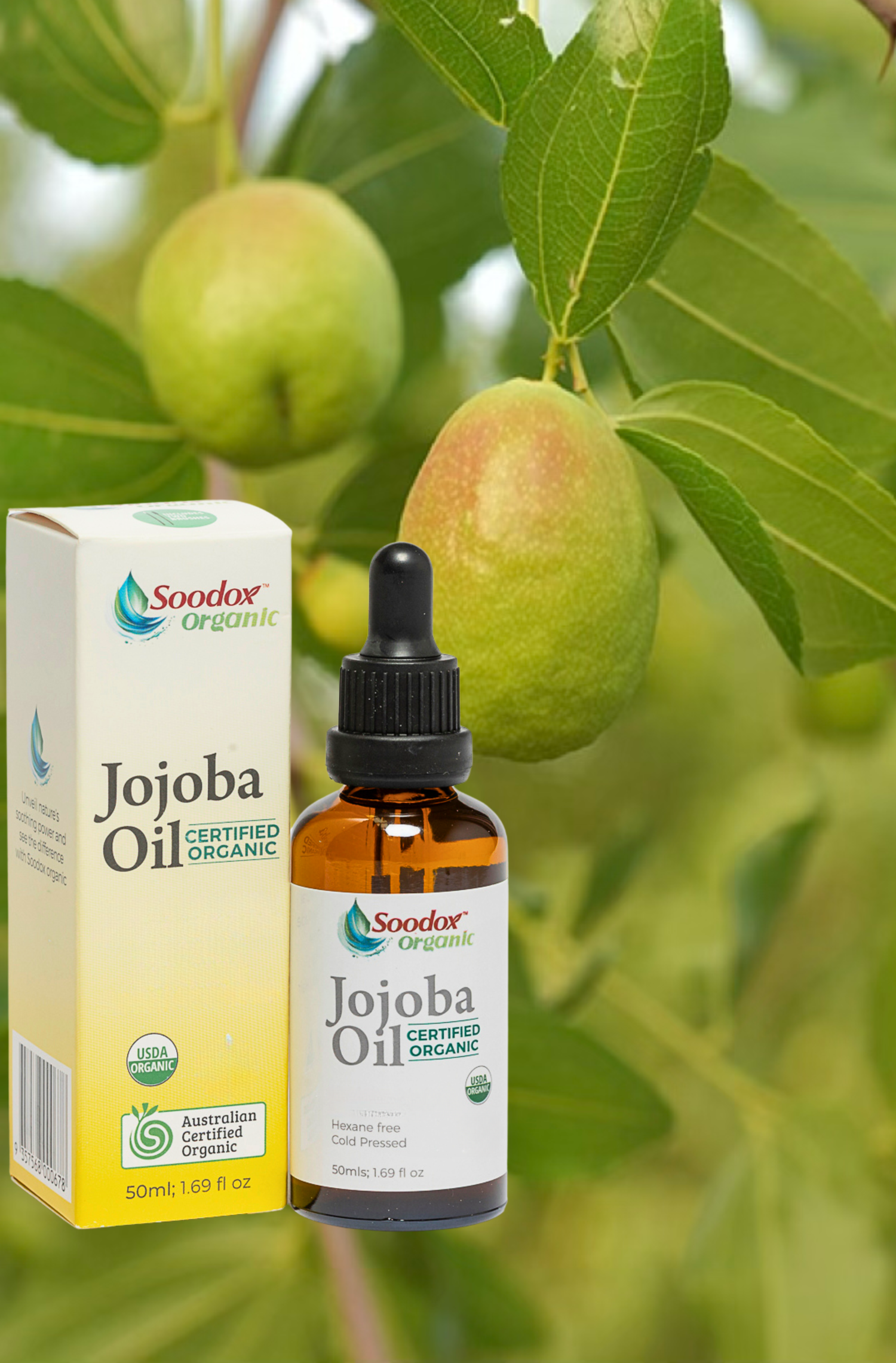 Soodox Organic Jojoba Oil 50mL with Lash and Brow Brushes