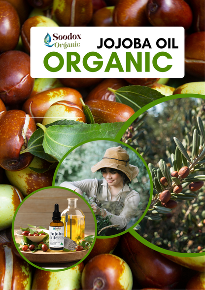 Soodox Organic Jojoba Oil 50ml Set with Scalp Oil Applicator