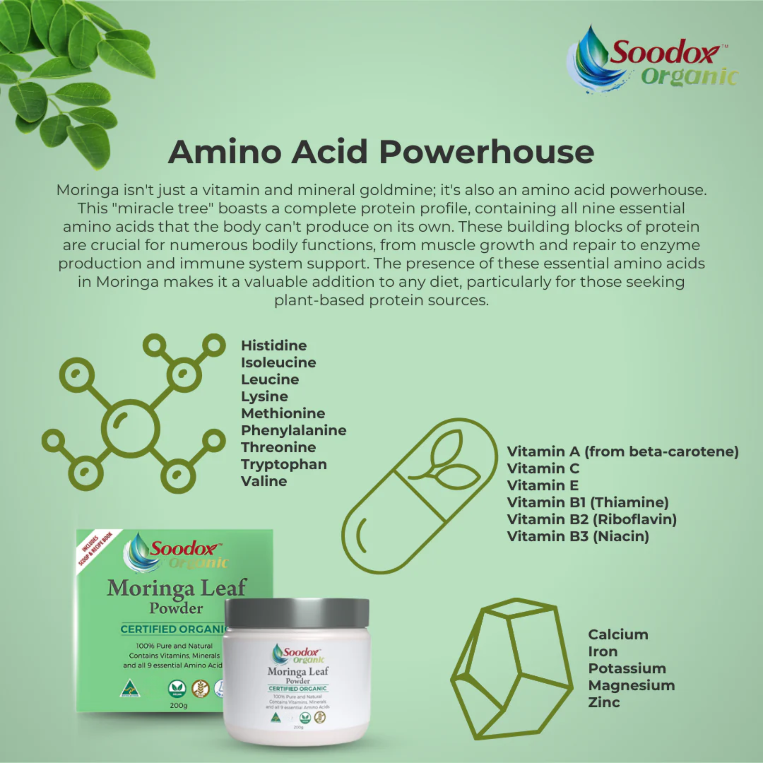 Soodox™ Organic Moringa Leaf Powder