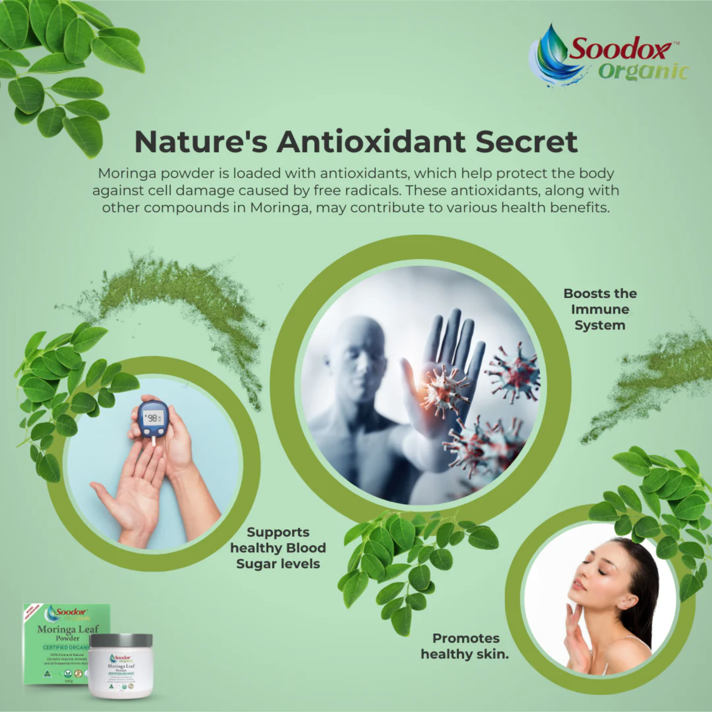 Soodox™ Organic Moringa Leaf Powder
