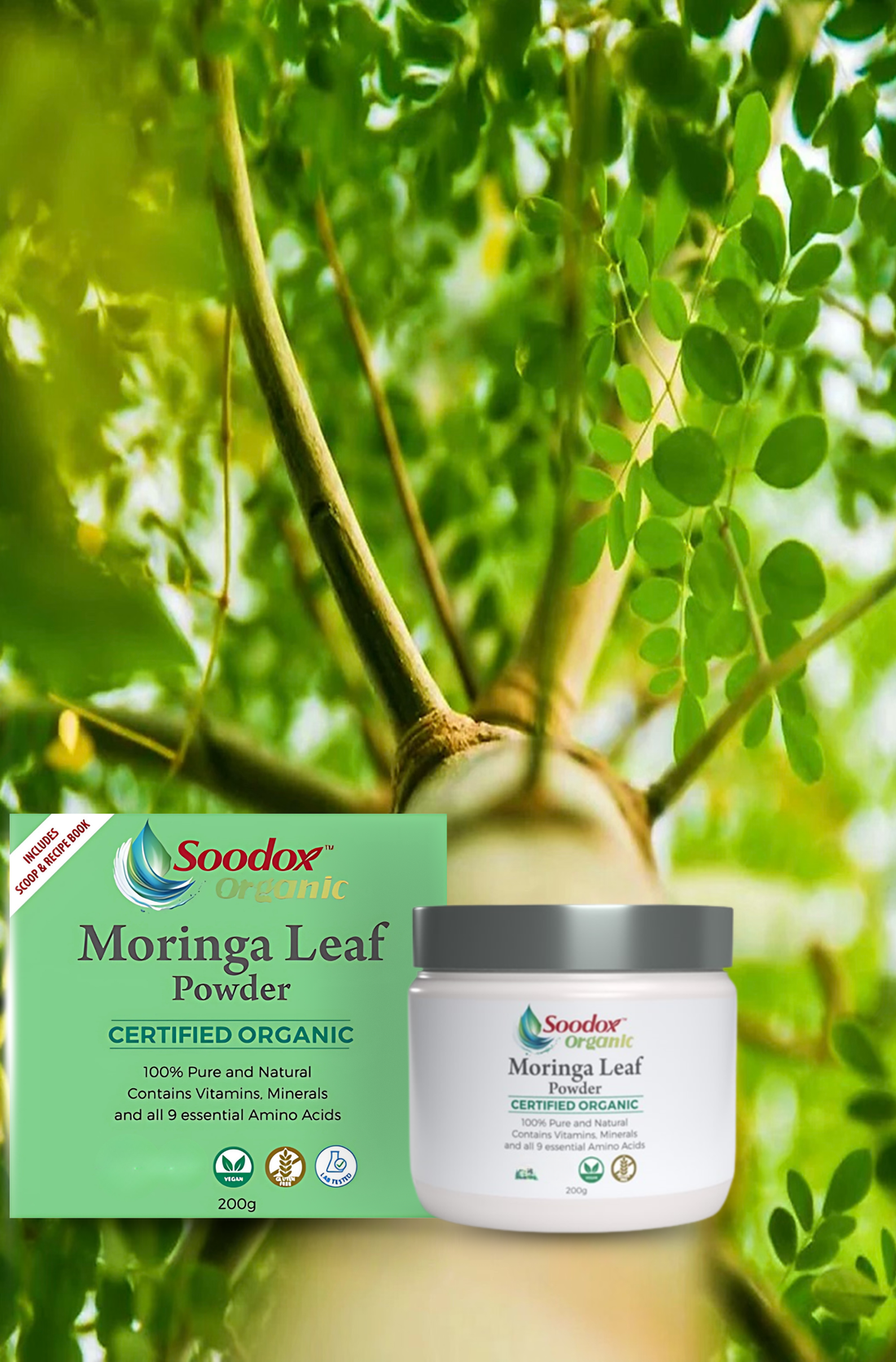 Soodox Organic Moringa Leaf Powder 200g (includes bamboo scoop and recipe book)