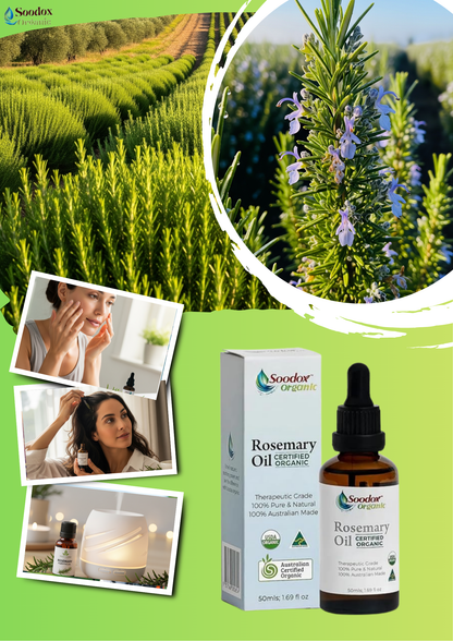 Soodox Organic Rosemary Oil 50mL