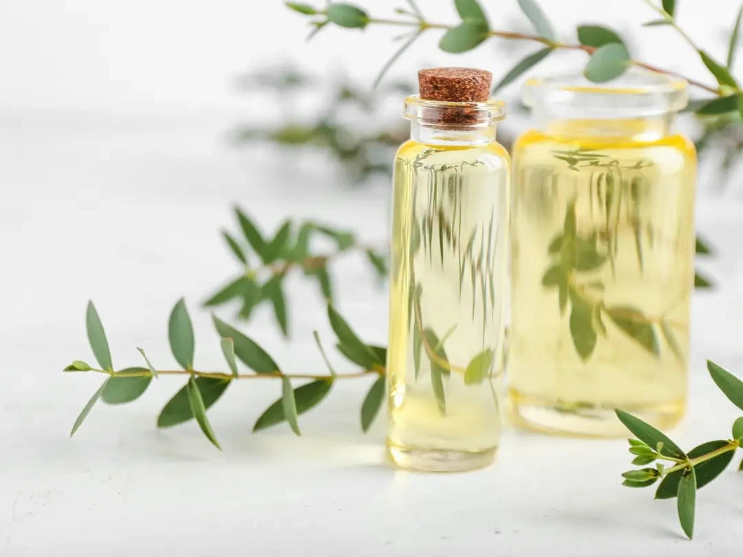 Natural oils in glass bottles with green botanical branches